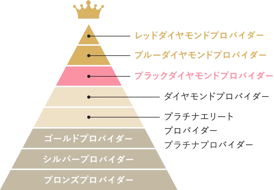 ブラックダイヤモンドプロバイダーとは